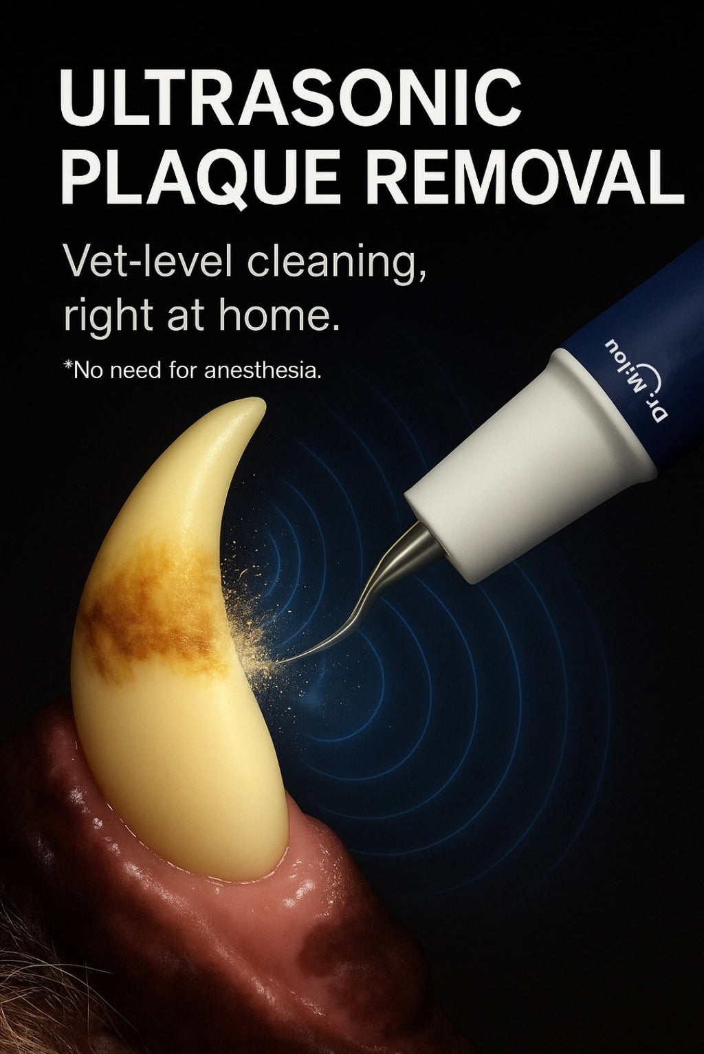 Pet dental care tools for dogs and cats by Dr. Milou
