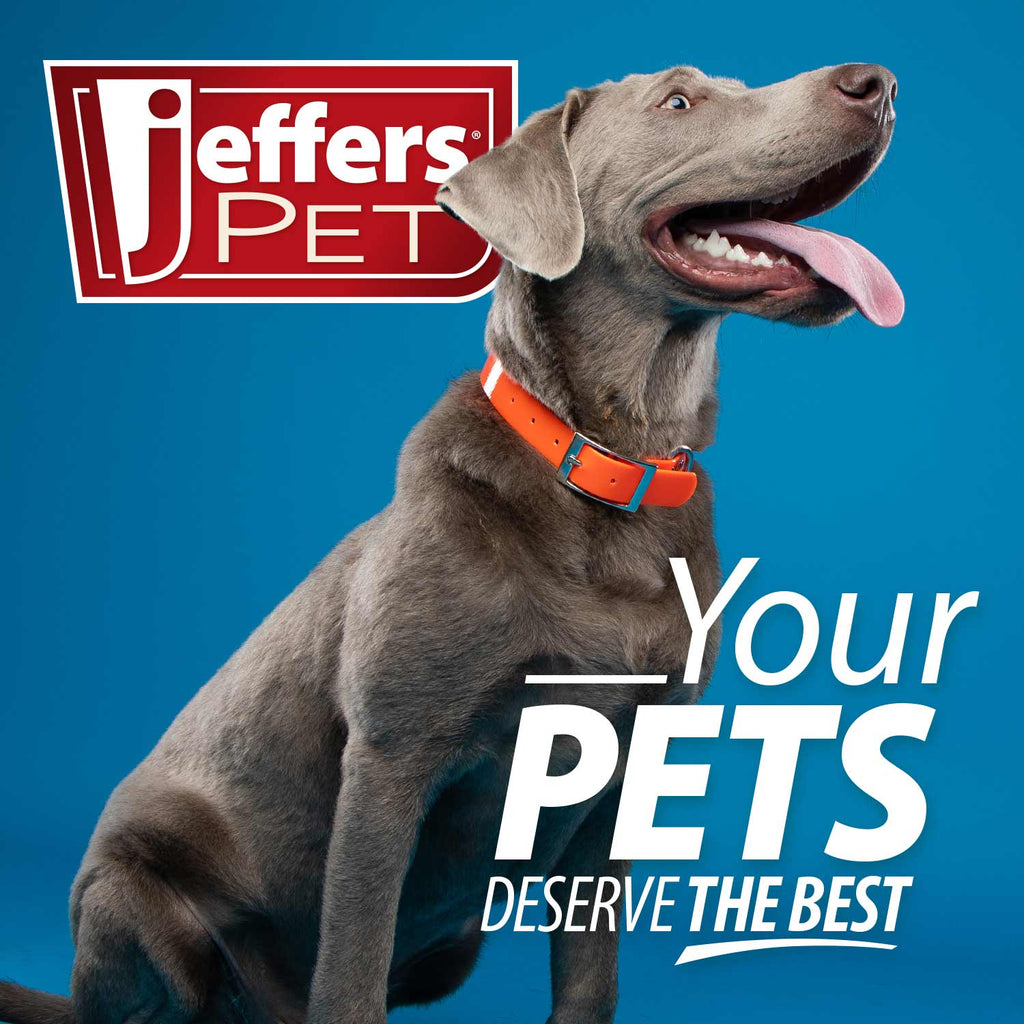 Jeffers pet grooming brand image